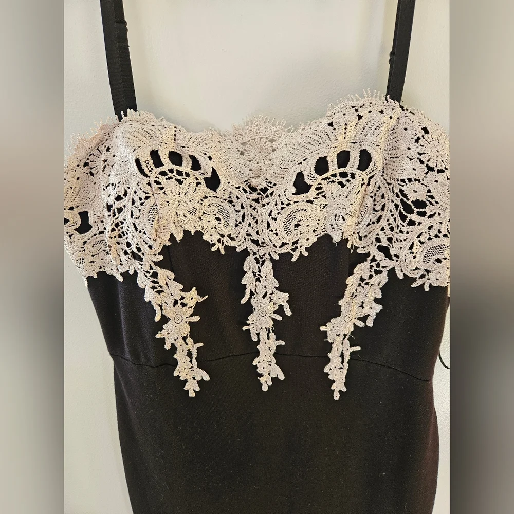 Haute Monde Black Dress with Cream Lace - Picture 2 of 6